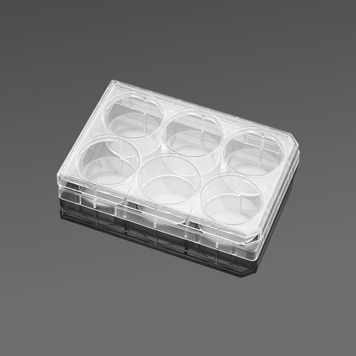 Corning/康宁353046 6孔细胞培养板