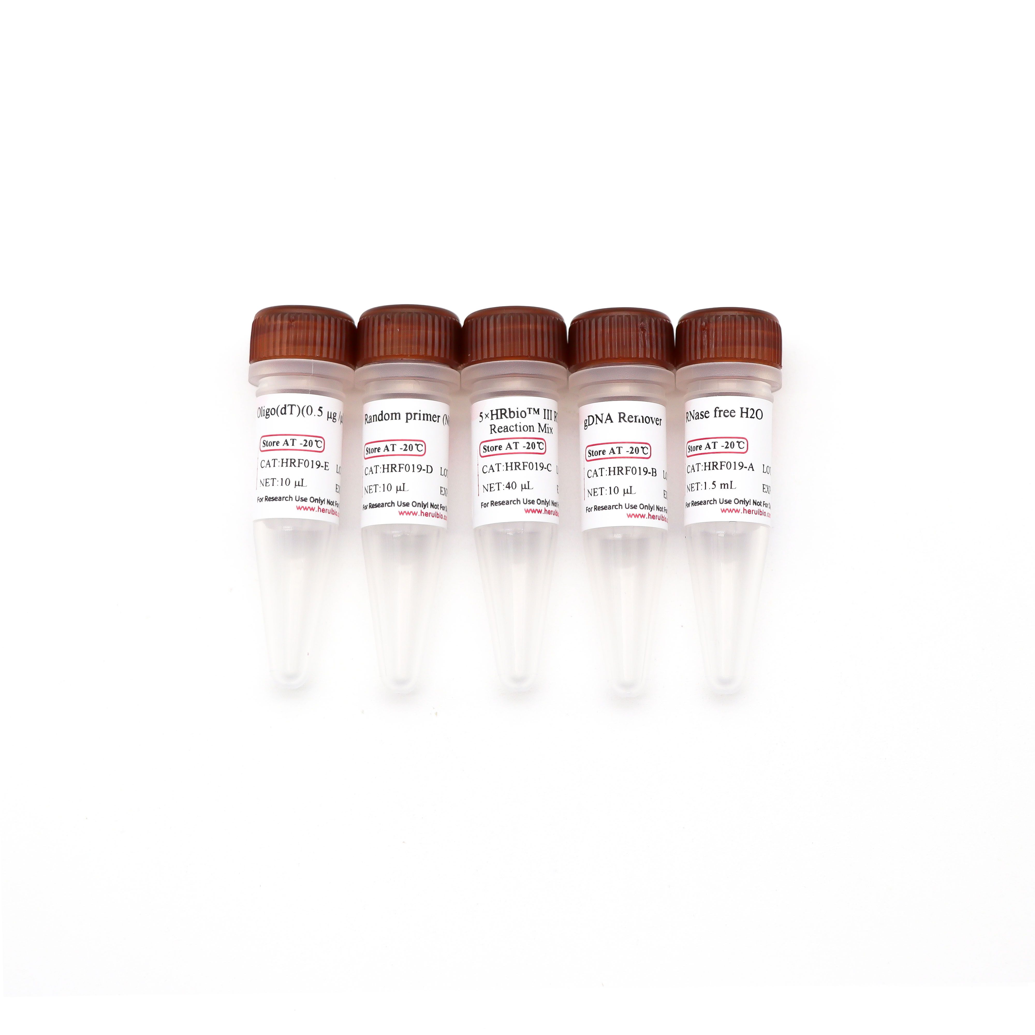 HRbio™ Ⅲ 1st Strand cDNA Synthesis Kit(TwoStep gDNA Removal)二步法基因组DNA去除逆转录试剂盒