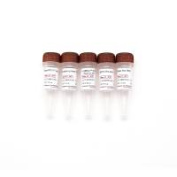 HRbio™ Ⅲ 1st Strand cDNA Synthesis Kit(TwoStep gDNA Removal)二步法基因组DNA去除逆转录试剂盒