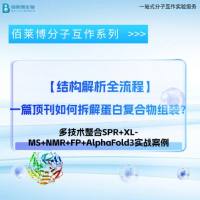 【结构解析全流程】一篇顶刊如何拆解蛋白复合物组装？多技术整合SPR+XL-MS+NMR+FP+AlphaFold3实战案例