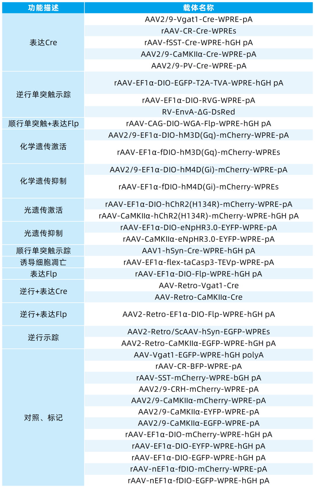 新闻图片8