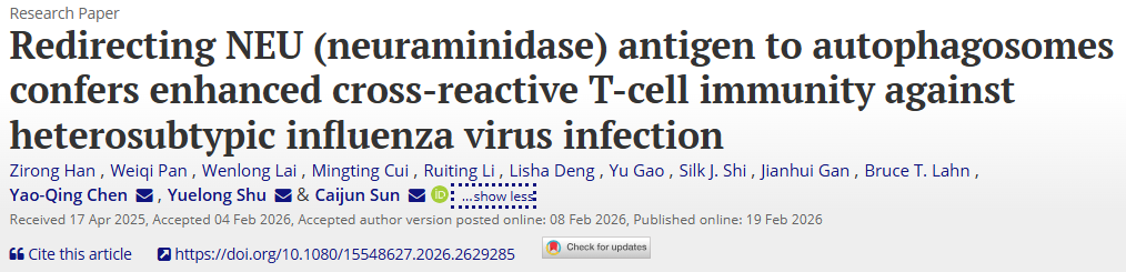 Autophagy | 中山大学联合云舟生物开发基于自噬体靶向递送的广谱流感疫苗新策略