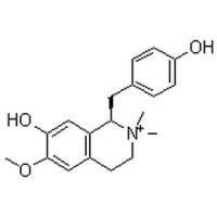 木兰箭毒碱