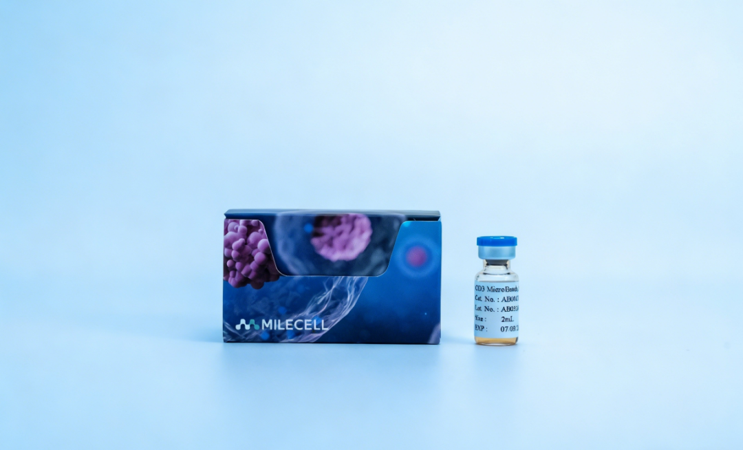更懂细胞，更优分选系列（六）| MileCell MagSep™ CD3阳选磁珠
