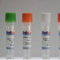 FITC- Rabbit Anti- Horse IgG(H+L)