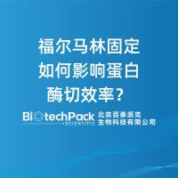 福尔马林固定如何影响蛋白酶切效率？