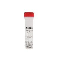 嘌呤霉素 Puromycin 10 mg / mL