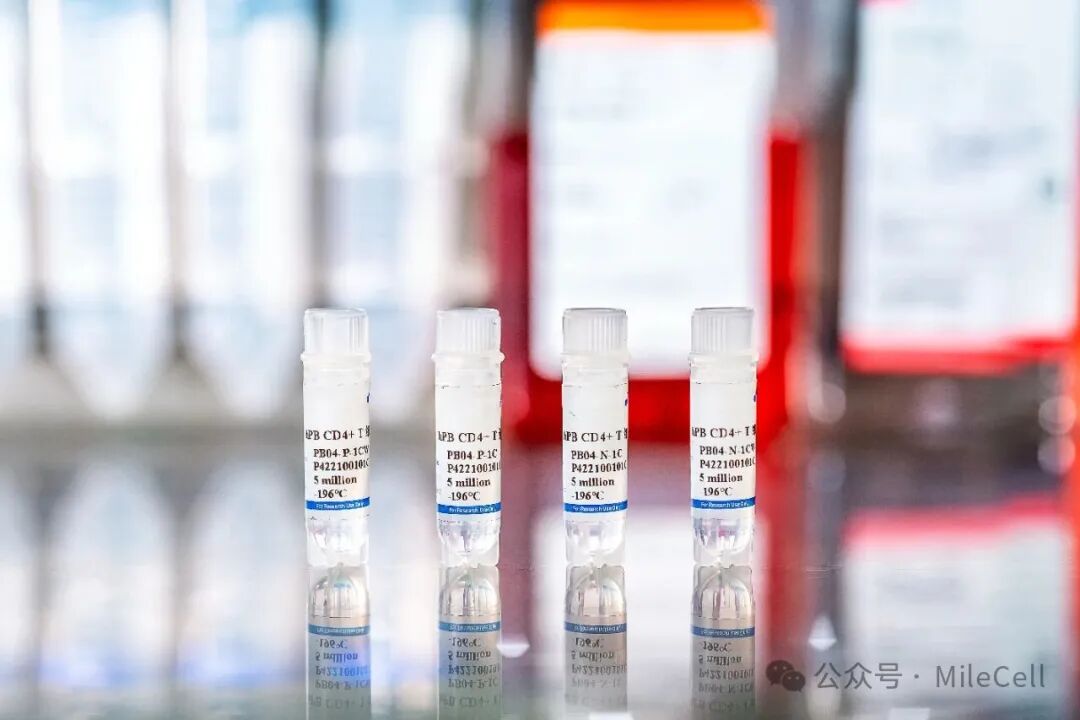 妙顺生物 | 优选mDC & T细胞MLR预筛选服务
