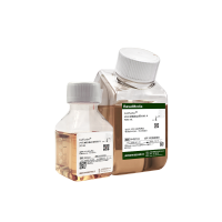 CellTurbo® 293 瞬转表达用补料套装