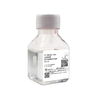 HT 添加剂 100X