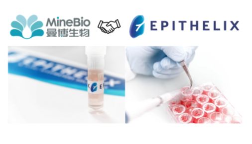人呼吸系统体外模型与原代细胞｜Epithelix｜曼博生物官方供应