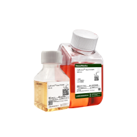 CellTurbo® Feed 7 补料套装