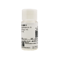 两性霉素 B Amphotericin  B 250 μg/mL
