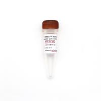 2×HRbio™ Seamless Assembly and Cloning kit无缝克隆试剂盒（单/多片段连接）