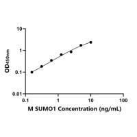 小鼠小泛素相关修饰蛋白1(SUMO1)ELISA试剂盒