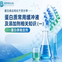 蛋白表达纯化干货分享——蛋白质常用缓冲液及添加剂相关知识（一） ——蛋白质稳定剂