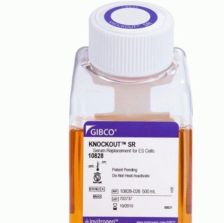 KnockOut™ 血清替代物