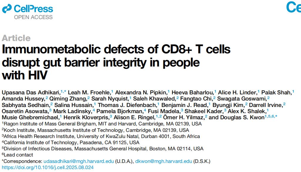 Cell | TissueCytometry技术助力 HIV 感染者肠道屏障损伤干预靶点的精准发现