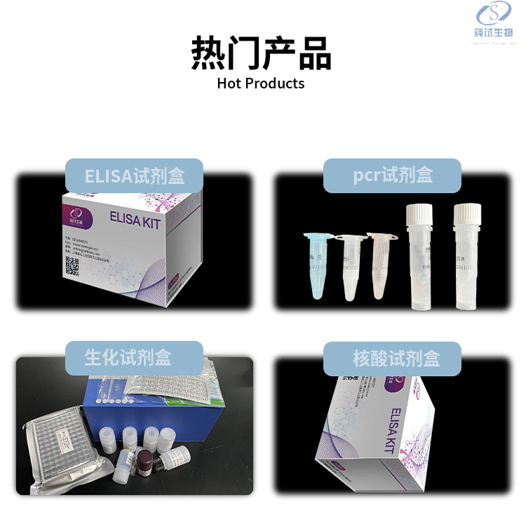 新闻图片1