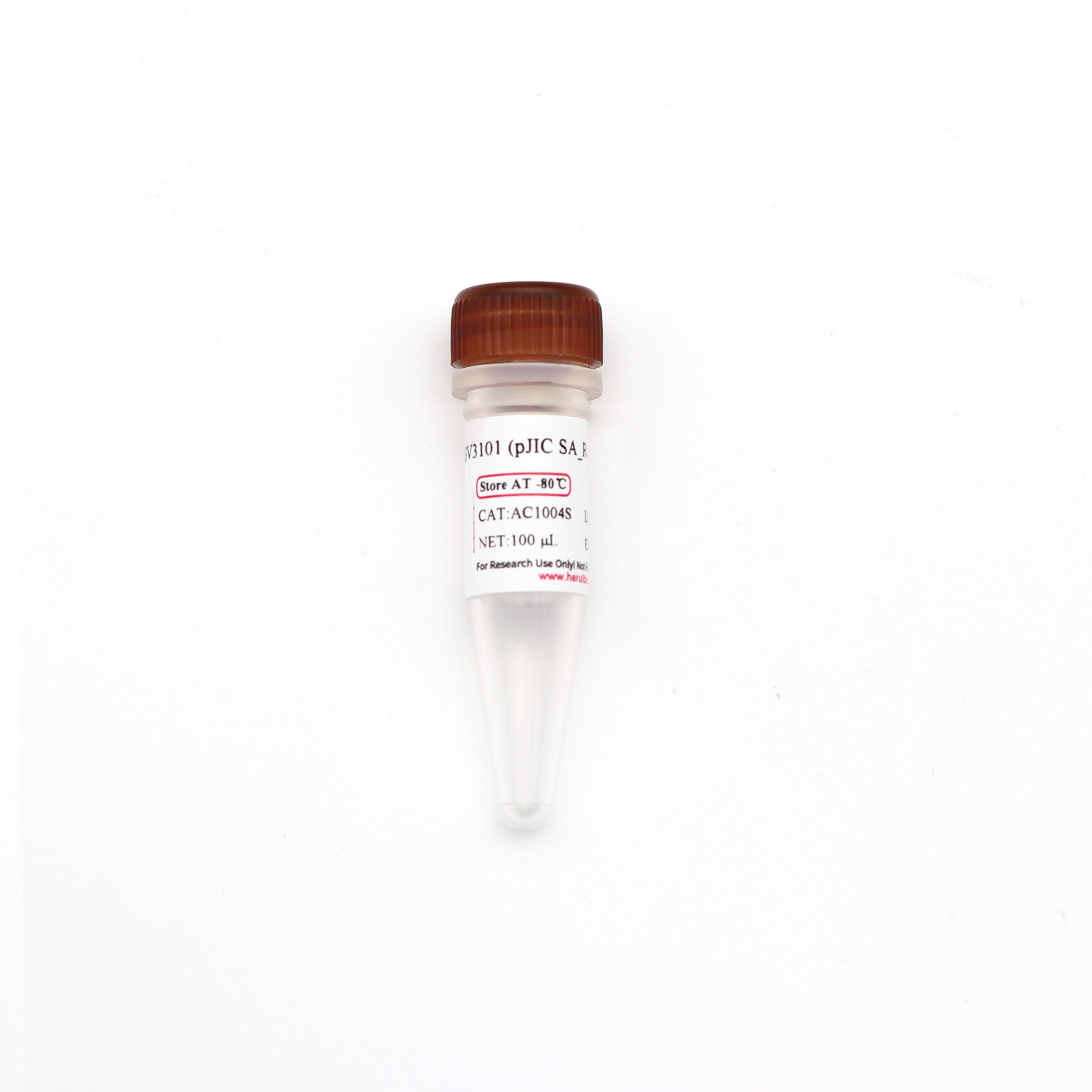 GV3101 (pJIC SA_Rep) 化学感受态细胞