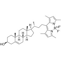 BODIPY胆固醇 ,878557-19-8,BioReagent,生物染色剂,适用于荧光分析,用于显微镜,≥97%,阿拉丁