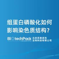 组蛋白磷酸化如何影响染色质结构？