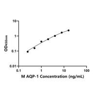 小鼠水通道蛋白1(AQP-1)ELISA试剂盒