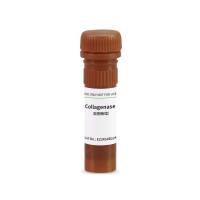 BioFroxx 1904MG100 胶原酶I型Collagenase I 2-8度