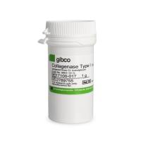 Gibco 17100-017 胶原酶I型Collagenase I