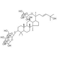 越南参皂苷R8