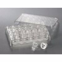 Corning/康宁3413 Transwell嵌套，含24孔板 (PC膜，6.5mm，0.4um)
