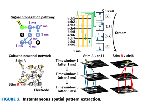 MED64平面微电极矩阵记录系统文章分享,日本科研人员发表在IEEE Access 上 “Decoding Neuronal Activity ’streams’ in Cultured Networks: A Transfer Learning Approach Using VGG16 and Signal-to-Image Transformation” 报告