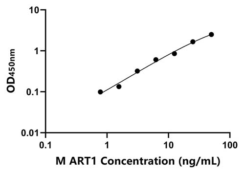 小鼠(ART1)ELISA试剂盒