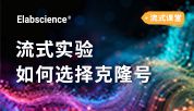 Elabscience流式克隆号选对不踩坑：6 大场景一次说清！