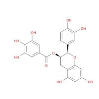 (-)-表儿茶素没食子酸酯，1257-08-5，Moligand™, 分析标准品, ≥98%，阿拉丁