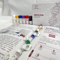 人（Human）整合素β1(ITGβ1)ELISA检测试剂盒