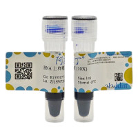 RNA 上样缓冲液 (10X),BioReagent, 适用于电泳, 分子生物学级, 用于核酸电泳, 10x,阿拉丁
