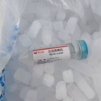 贝伐珠单抗对照品—216974-75-3-Bevacizumab
