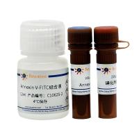 碧云天 C1062 Annexin V-FITC细胞凋亡检测试剂盒 