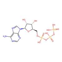 R-藻红蛋白，11016-17-4，Em:576nm, 20.0mg/mL，阿拉丁