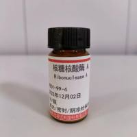 9001-99-4/核糖核酸酶 A/Ribonuclease A