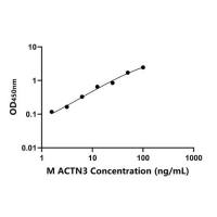 小鼠辅肌动蛋白α3(ACTN3)ELISA试剂盒