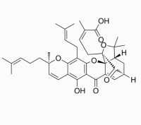 藤黄酸，2752-65-0，Moligand™, ≥97%(HPLC)，阿拉丁