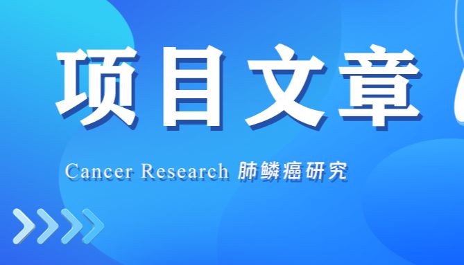 项目文章 | 复旦大学团队揭示肺鳞癌发生中的关键转录调控因子
