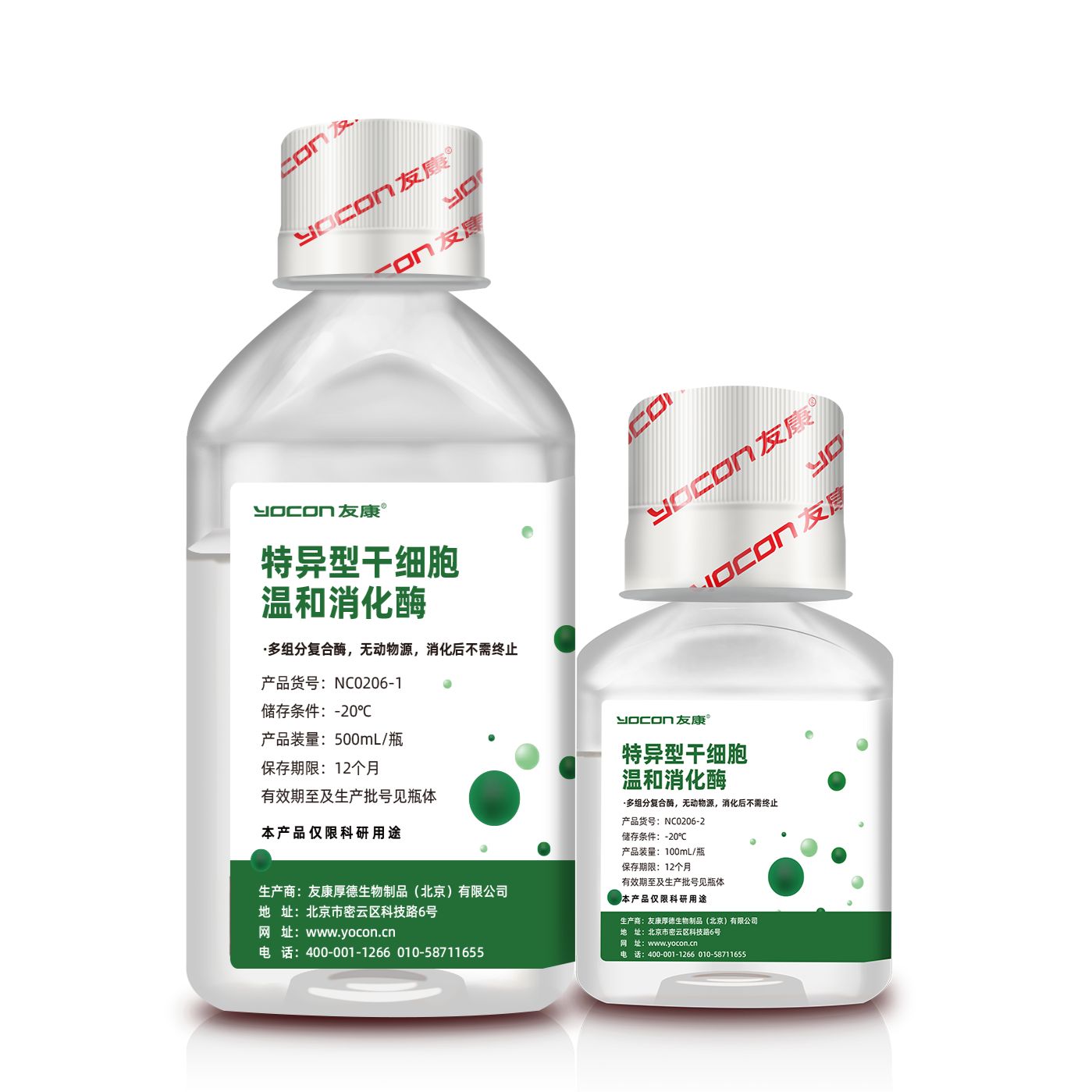 特异型干细胞温和消化酶