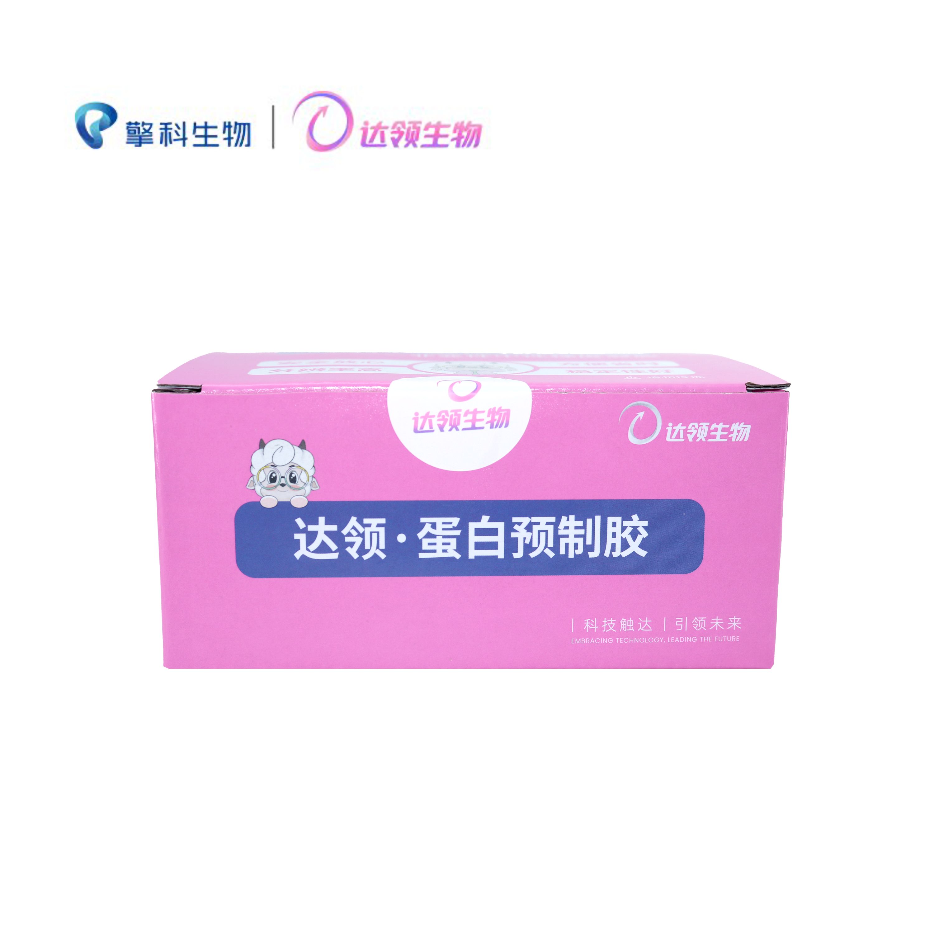 锐影12孔Clear预制胶(清晰)-12孔