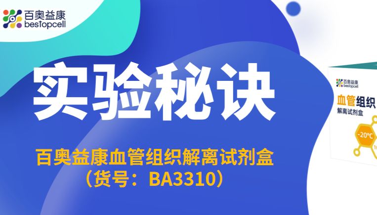 实验秘诀｜BA3310 血管组织解离试剂盒，标准化流程稳出高活单细胞