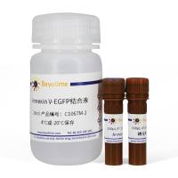 碧云天C1067S Annexin V-EGFP细胞凋亡检测试剂盒