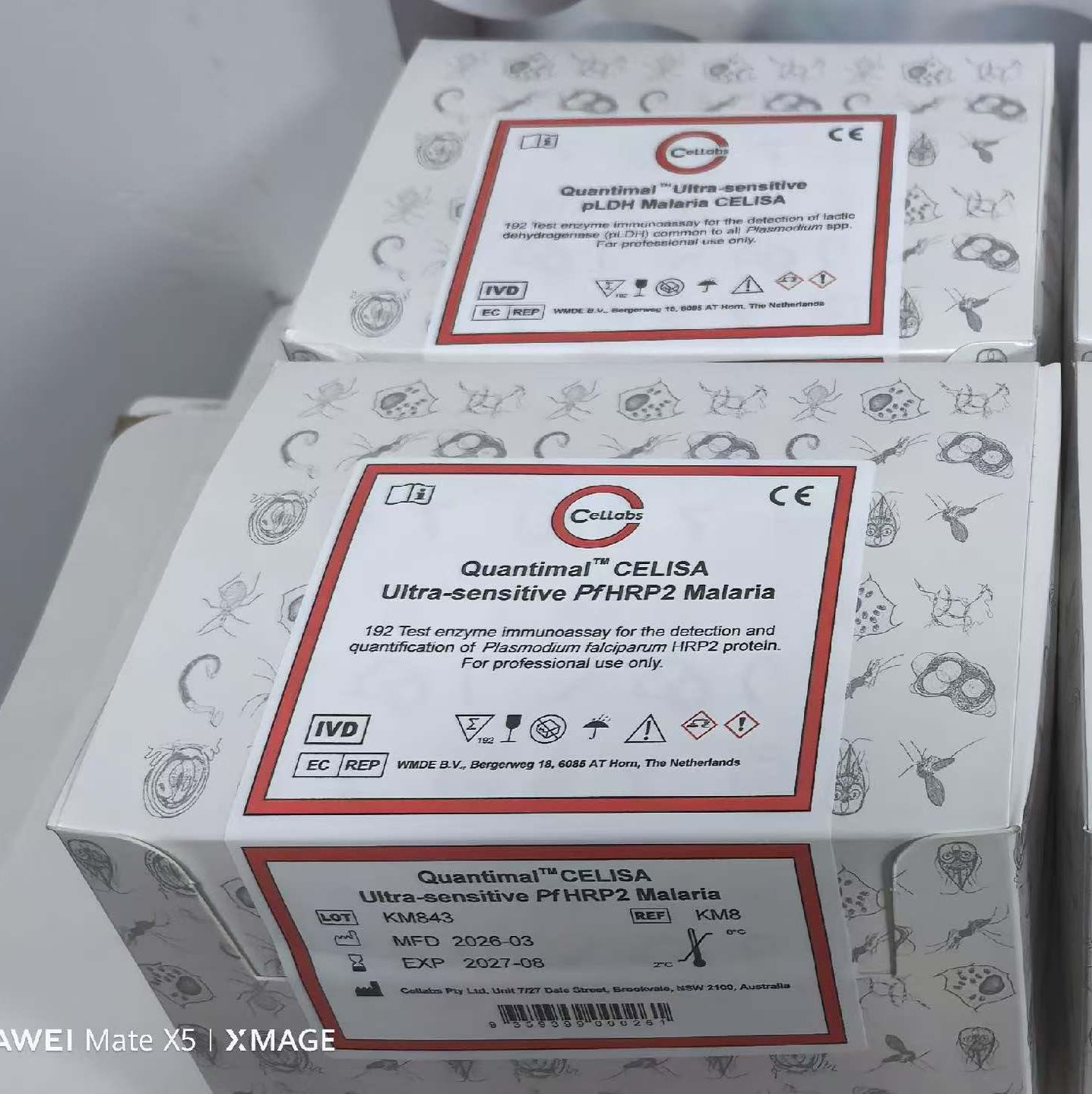 Giardia CELISA 贾第鞭毛虫的酶免试剂盒