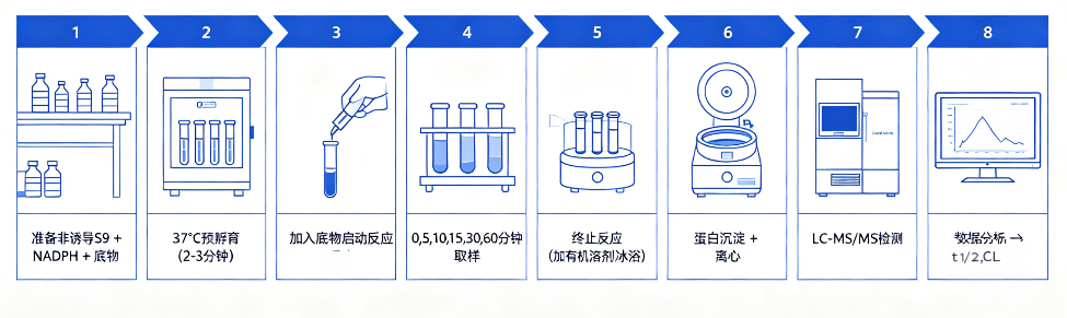 代谢π析 8-2.png